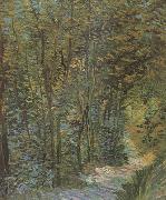 Vincent Van Gogh Path in the Woods (nn04) France oil painting reproduction